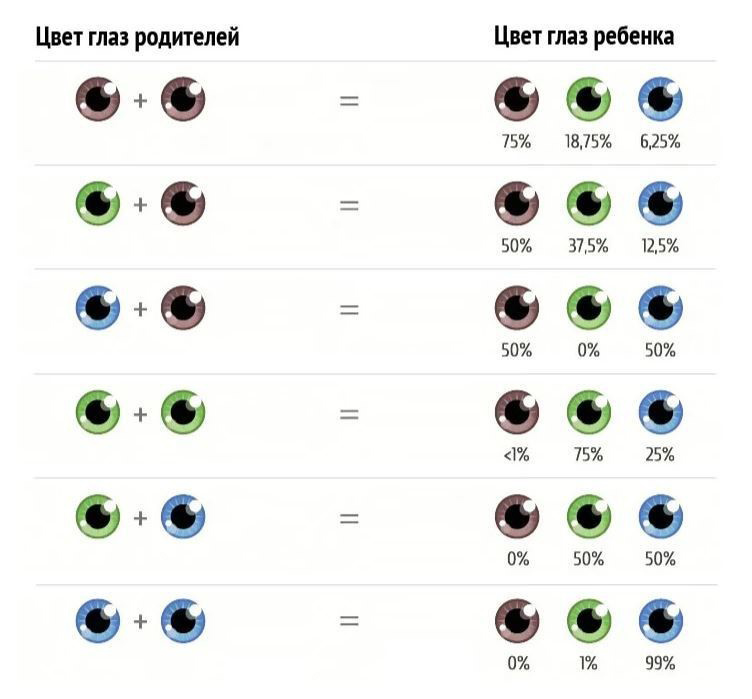 От чего зависит цвет глаз у человека: таблица зависимости. Как наследуетсяцвет глаз. Как передается доминантный цвет глаз