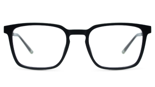 Оправа для очков ROY ROBSON