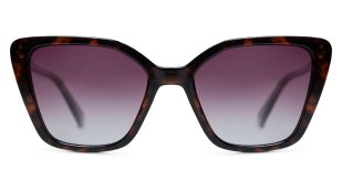 POLAR 4189/S 086 JR 53 Polaroid